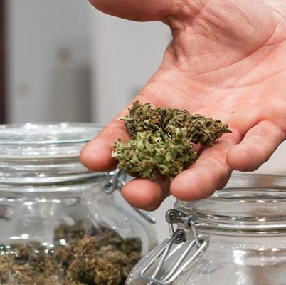Cannabis pour l'inflammation : comment ça marche ?