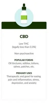CBD contre THC