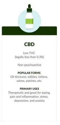 CBD vs. THC