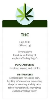 CBD contre THC