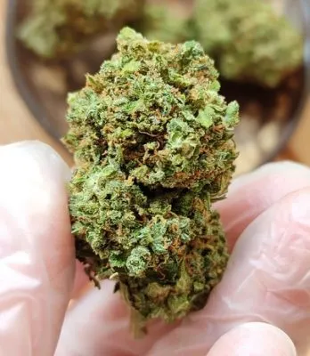 Best Indica Marijuana Strains 2022