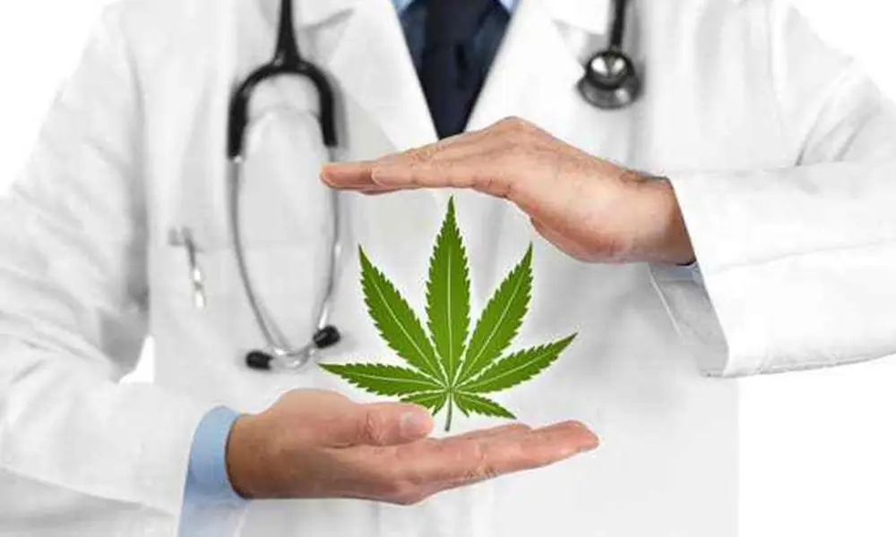 l Cannabis for Bursitis Relief - Medical Cannabis for Bursitis Relief: How Does It Work?