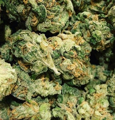 Blue Cheese Marijuana Strain Review