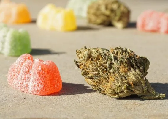 Guide des bonbons au CBD