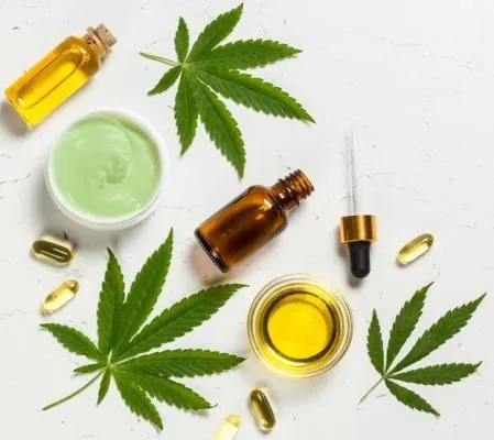 CBD pour la guérison de la peau : coupures, éraflures, brûlures et plus