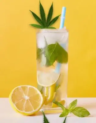 Limonade infusée au cannabis