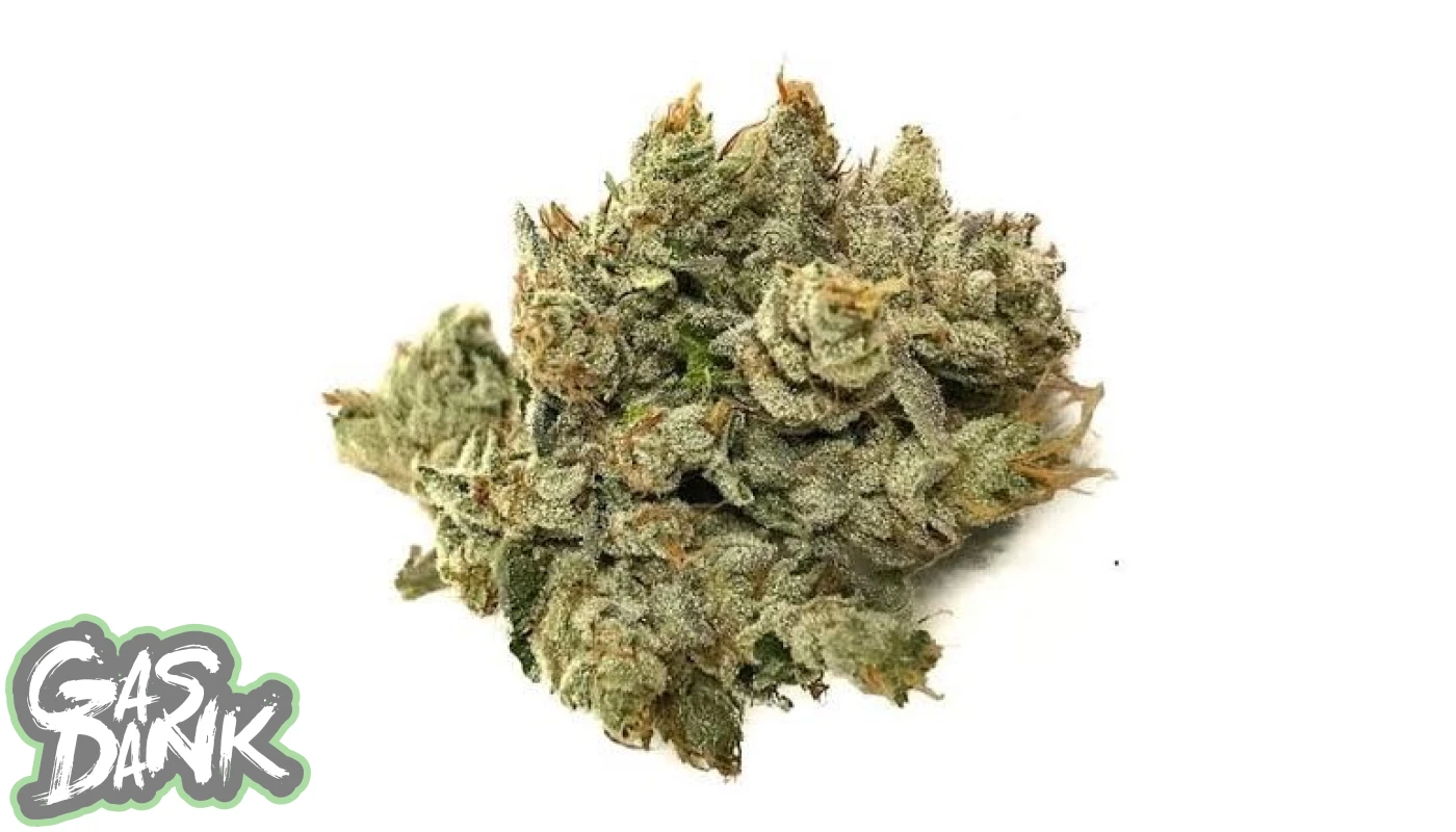 Herbe Cherry Kush 1400x800 - Examen de la variété de marijuana Cherry Kush