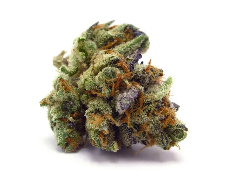 Dr Who Cannabis - Examen des variétés de cannabis Dr. Who