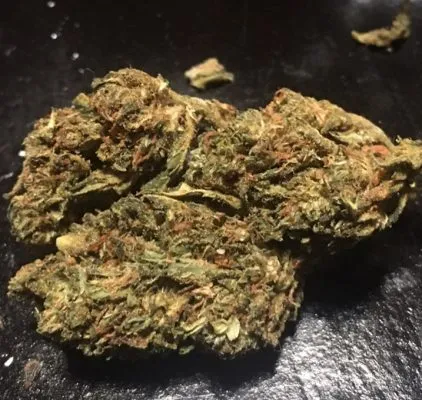 Spirit Of 76 Marijuana Strain Review