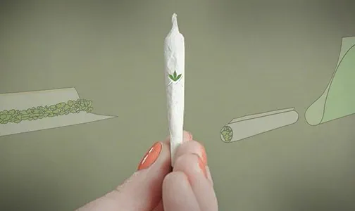 Joint Rolling Guide - Joint Rolling Guide