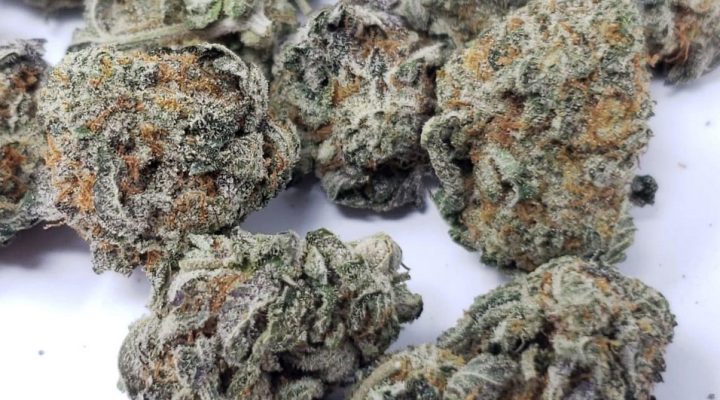 Swazi Gold Marijuana Strain Review