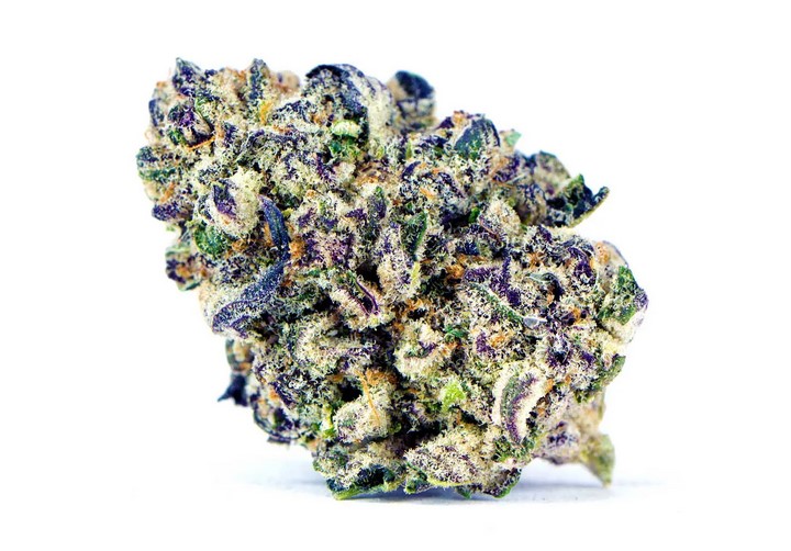 Purple Punch Marijuana - Examen de la variété de marijuana Purple Punch