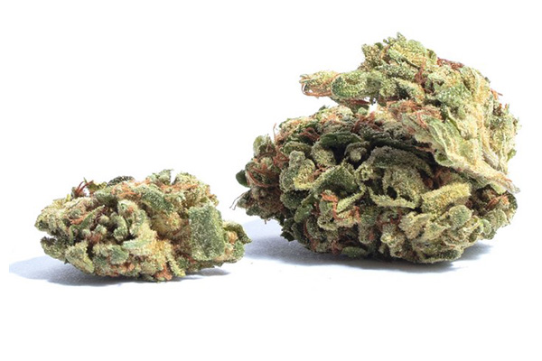 blueberry diesel strain review - Blueberry Diesel Strain Review