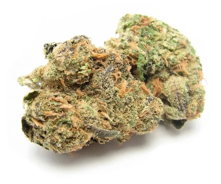 hybride chewing-gum - X-File Marijuana Strain Review