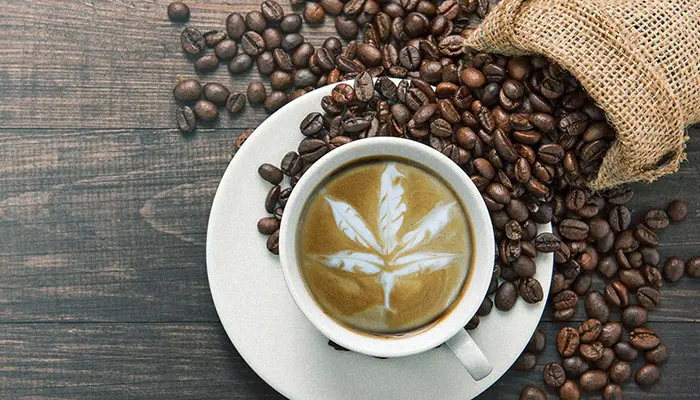 recette de café infusé au cannabis - Recette de café infusé au cannabis