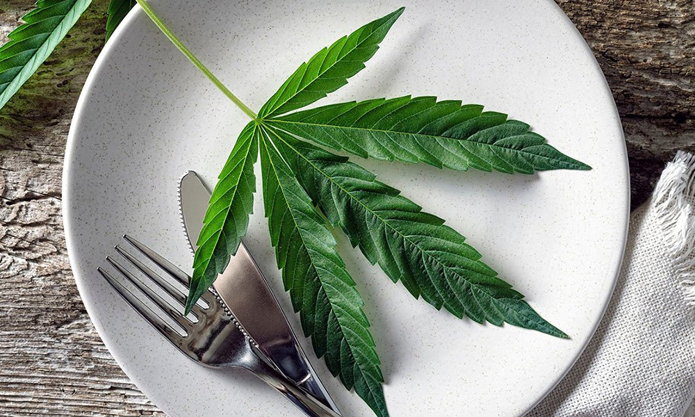 manger du cannabis 2 - Pouvez-vous manger de l'herbe ?