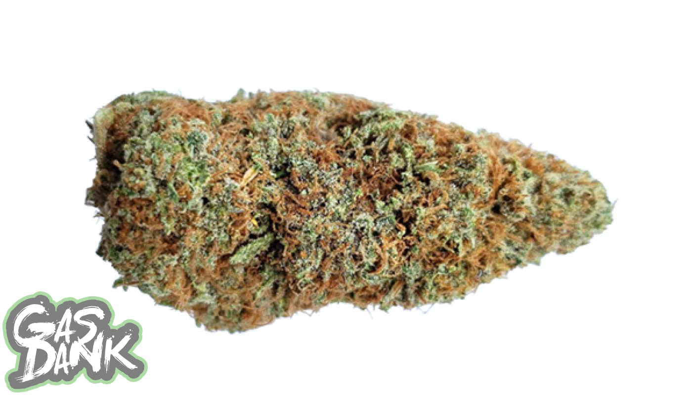examen de la variété de cannabis gelato 6 1400x800 - Examen de la variété de cannabis Gelato