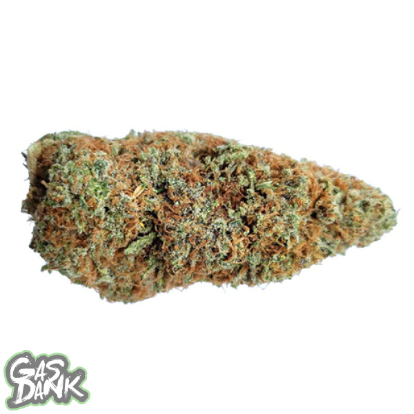 examen de la variété de cannabis gelato 6 600x600 - Gelato Dream -Bulk