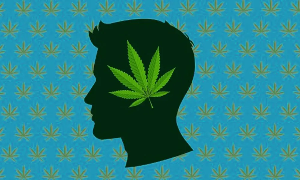 souches de cannabis médical pour la dépression 2 - Variétés de cannabis médical pour la dépression