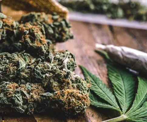 Medical Cannabis Strains for Depression