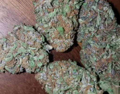 Hindu Kush Cannabis Strain Review