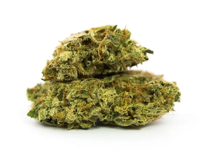Hindu Kush 03 - Hindu Kush Cannabis Strain Review