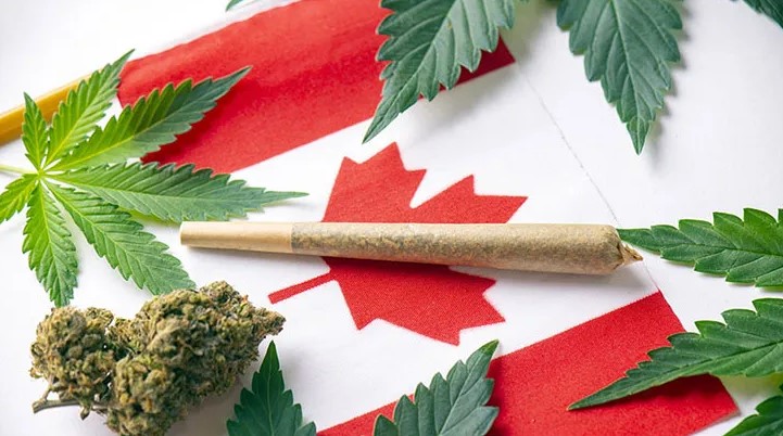 légalisation du cannabis au canada 11 - Légalisation du cannabis au Canada