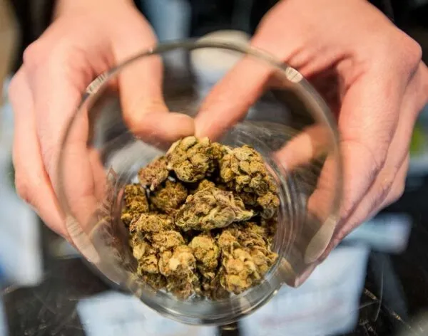 Cannabis Legalization in Canada