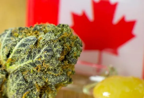 Légalisation du cannabis au Canada