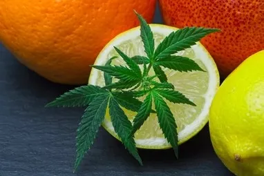 Qu'est-ce que le Limonène ?