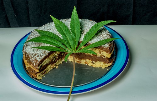 space cake au cannabis 31 - Comment faire un space cake à l'herbe