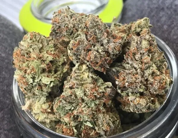 Cherry OG Strain Review