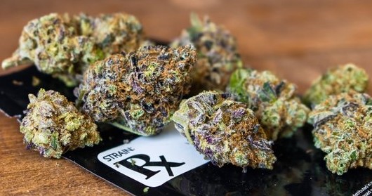 Everything You Need To Know About Purple Weed