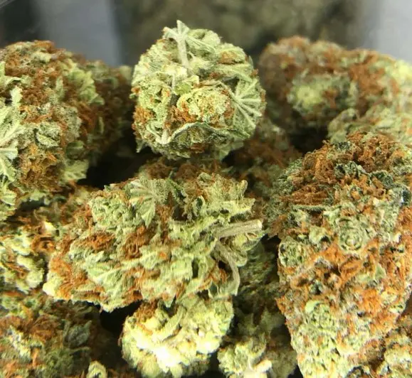 Frooty Pebbles Weed Strain Review & Information