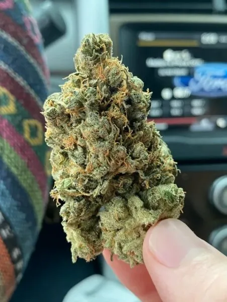 Frooty Pebbles Weed Strain Review & Information