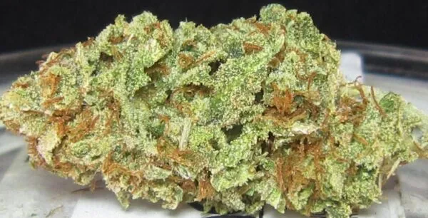 Sour Diesel Strain Review