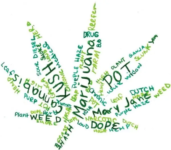 Termes liés aux mauvaises herbes : guide de l'argot du cannabis