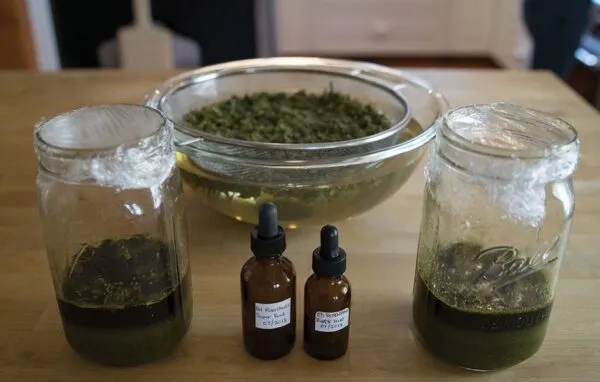 Marijuana Tincture