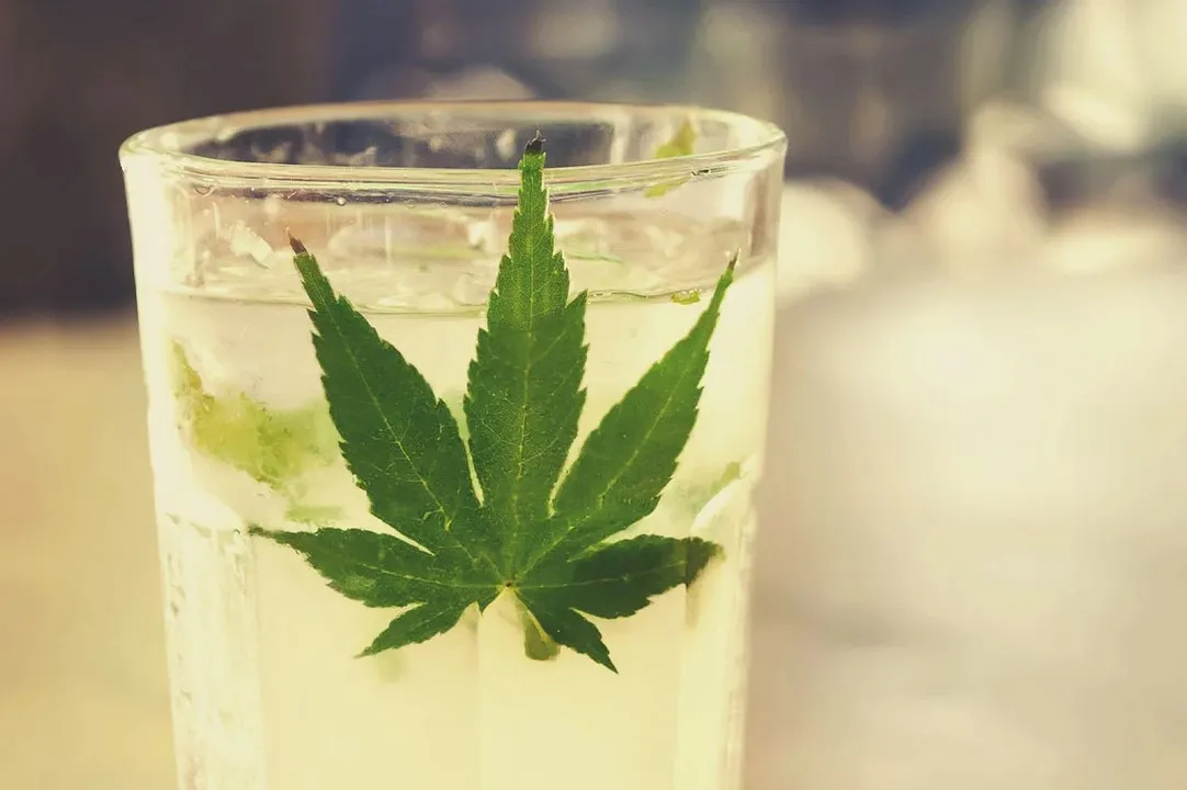 CBD Water