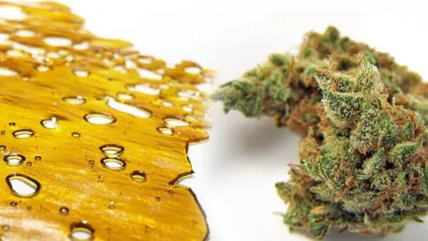 Difference Between Shatter And Wax