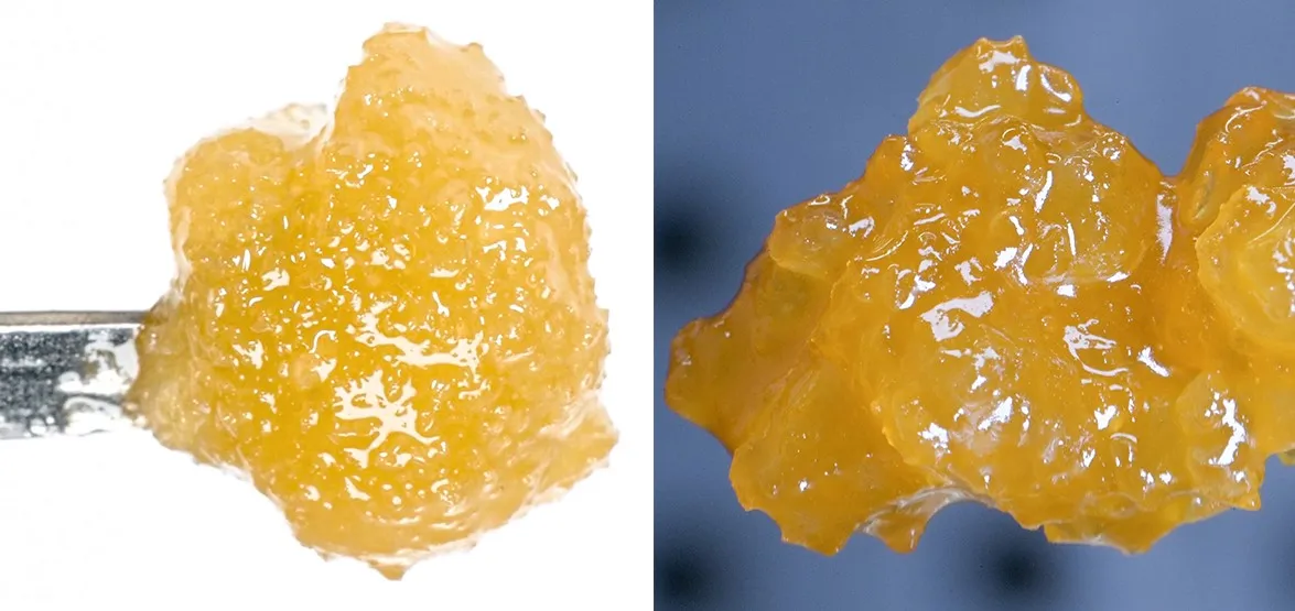 Live Resin vs Live Rosin : Quelle est la différence ?