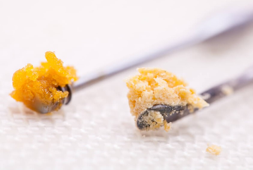 Live Resin vs. Live Rosin: What’s the Difference?