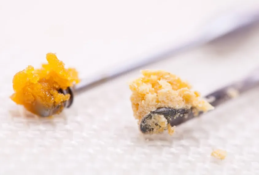 Live Resin vs Live Rosin : Quelle est la différence ?