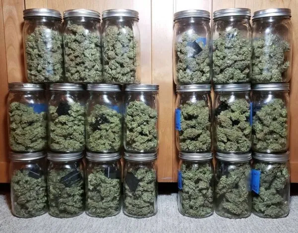 Marijuana Packaging: How to Store Weed