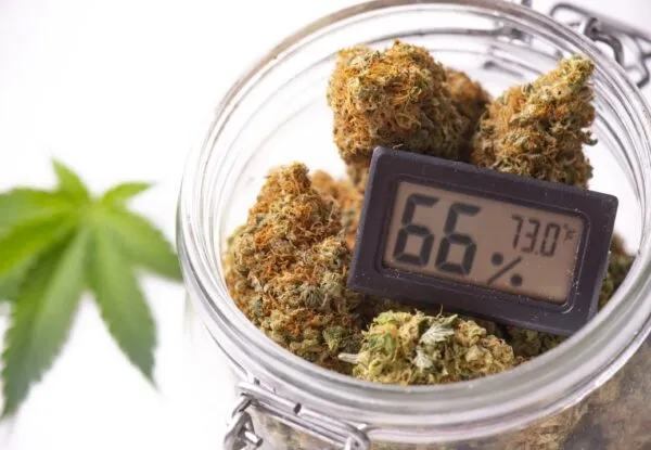 Marijuana Packaging: How to Store Weed