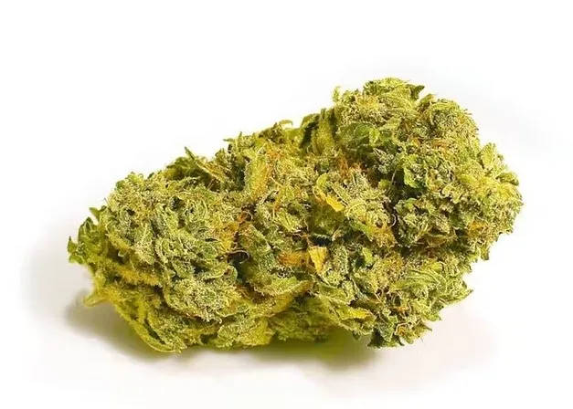 Super Lemon Haze Weed 4 - Variété de cannabis Super Lemon Haze