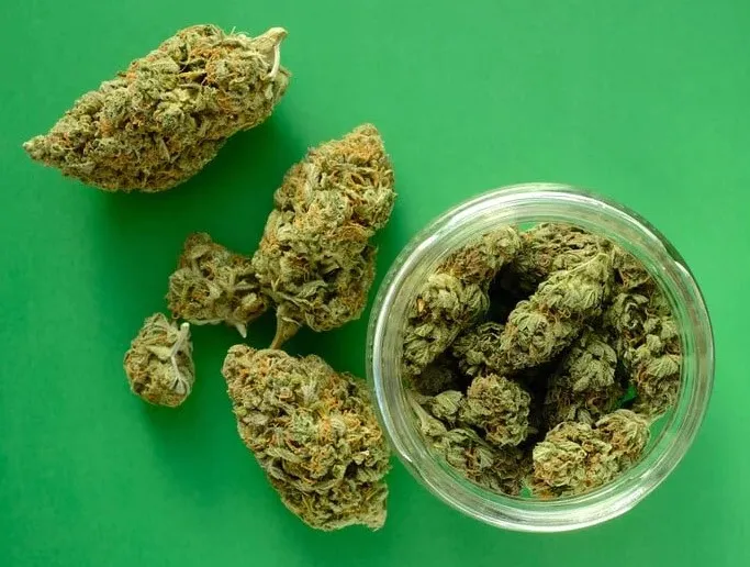 pourquoi l'herbe est-elle collante 22 - Sticky Weed : 5 variétés de cannabis super collantes