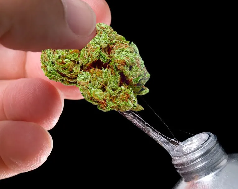 Sticky Weed : 5 variétés de cannabis super collantes