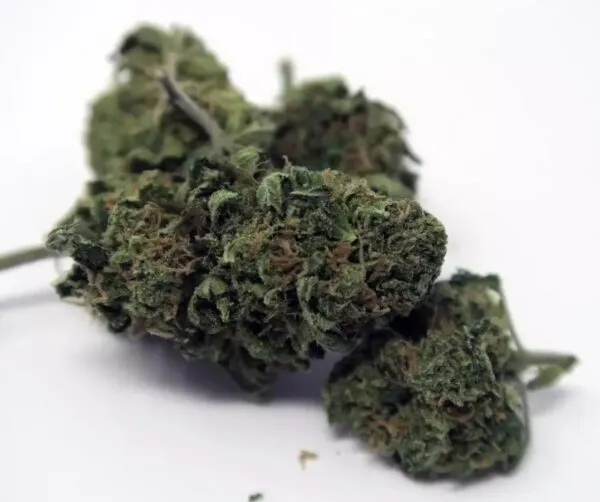 Blue Cheese Strain Review