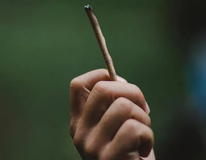 how to roll a blunt 4 - How to Roll a Blunt: Step-by-Step Guide